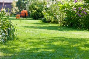 travaux jardin et paysage Champlin